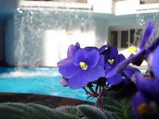 Hotel Geranium Balneário Camboriú 4*,